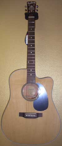 Blueridge BR-60 C natur