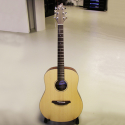 Breedlove BRPPD20LH Passport Westerngitarre Lefthand 7/8