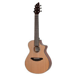 Breedlove C250 SMe Passport Travelgitarre