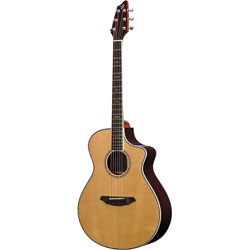 Breedlove C25SR Westerngitarre