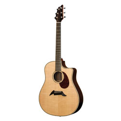 Breedlove D25SR Herringbone Pro Westerngitarre