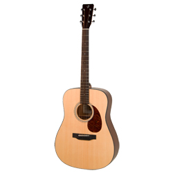 Breedlove DSM Retro Westerngitarre
