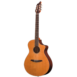 Breedlove N250CR Atlas Studio Nylon/C Konzertgitarre  