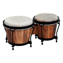 Club Salsa Bongo