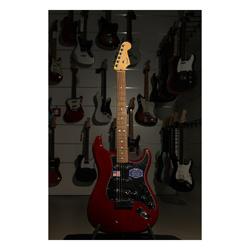 Fender American Deluxe Ash Stratocaster RW WT