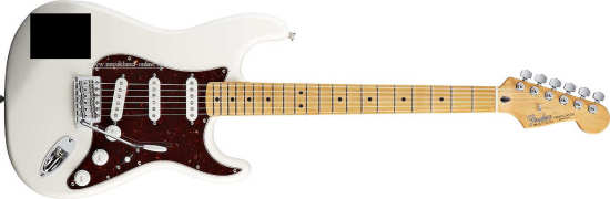 Fender DLX Roadhouse Stratocaster MN BK
