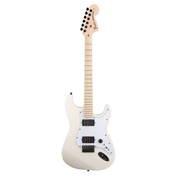 Fender Jim Root Stratocaster MN FW