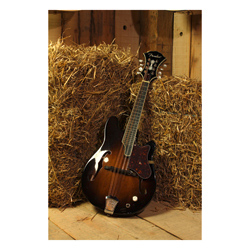 Fender Robert Schmidt Electric Mandolin