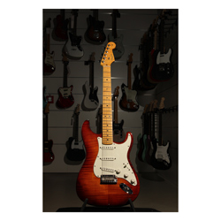 Fender Select Stratocaster MN DCB