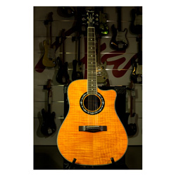 Fender T-Bucket 300 FM CE Orange
