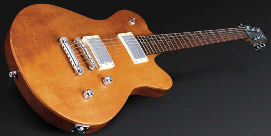 Framus Panthera Pro