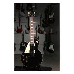 Gibson Les Paul Standard Traditional EB LH