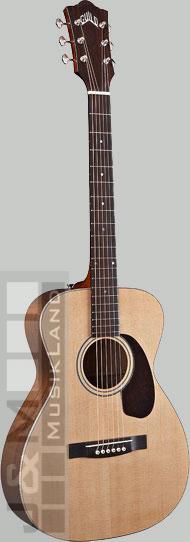 Guild GAD F-20 ITB Western-Gitarre