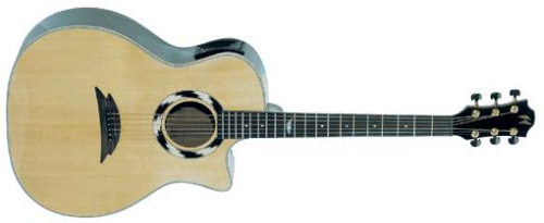 Hohner EBAE G-2933 Acoustic inkl. Koffer & Ständer