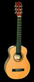 Hohner Porty Nylon inkl. Tasche