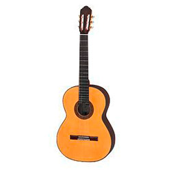 Hopf Nr. 62 Professional Meistergitarre