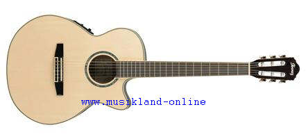 Ibanez AEG10 NE-NT Konzertgitarre