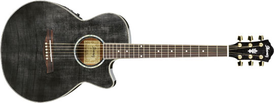 Ibanez AEG20E-TG Westerngitarre