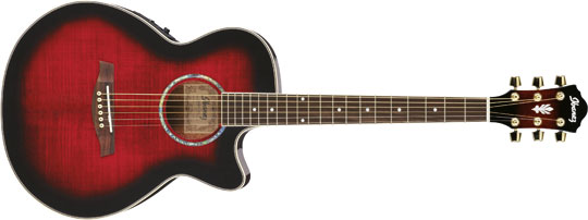 Ibanez AEG20E-TRS Westerngitarre