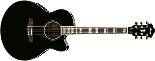 Ibanez AEL-30 SE BK Westerngitarre