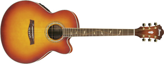 Ibanez AEL-40SE-RVV Western Gitarre