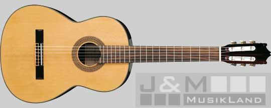 Ibanez G-100 NT Konzertgitarre