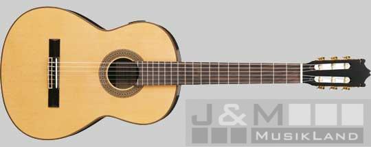 Ibanez G-200 E-NT Konzertgitarre