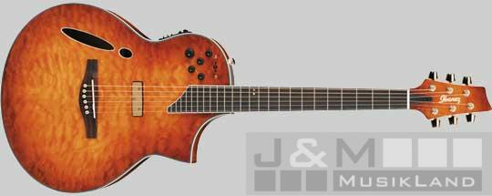 Ibanez MSC-650 VV Elektro Akustik Gitarre