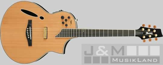 Ibanez MSC-700 NT Elektro Akustik Gitarre