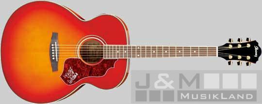 Ibanez SGT-430 E-CS Westerngitarre