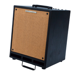 Ibanez T-80 Troubadour Acoustic Combo 