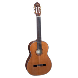 Ortega R10CT-LTD Konzertgitarre