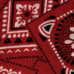 PlanetWaves 50G02 Red Bandana Gurt