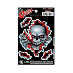 PlanetWaves GT77002 Guitar Tattoo - Peek-A-Boo Skulls