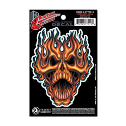 PlanetWaves GT77013 Guitar Tattoo - Flame Whip Skull