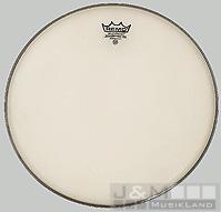 Remo Diplomat Suede 10''