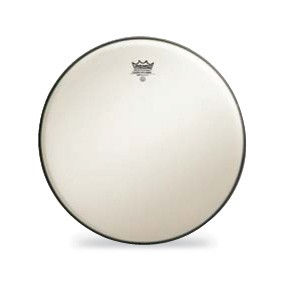 Remo Diplomat Suede 12"