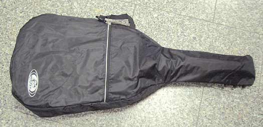 Ritter RJG-200-6 E/BLK E-Gitarren Gigbag