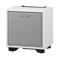 Roland CM-110 WH 2.1 Monitor -System
