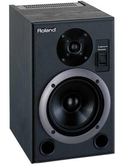 Roland DS-5 BI-Amp Monitor