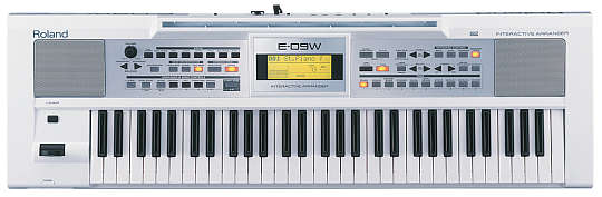 Roland E-09 w Keyboard