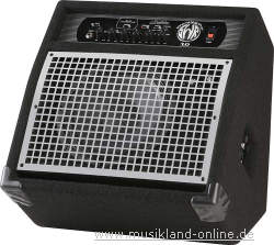 SWR WorkingPro 10 Bass Combo
