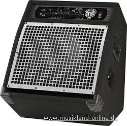 SWR WorkingPro 12 Bass Combo