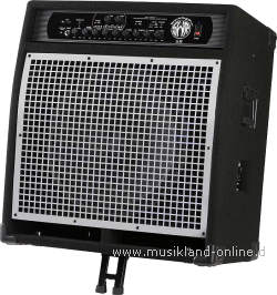 SWR WorkingPro 15 Bass Combo