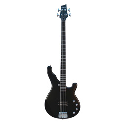 Sandberg Terrabass IV BKM E-Bass