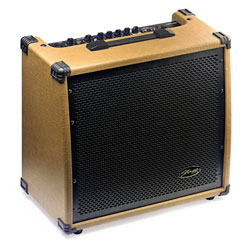 Stagg 60AAREU Acoustic Combo