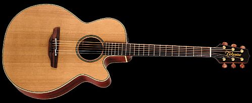Takamine EAN-40 CX Natural