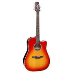 Takamine EF-300 NCS Westerngitarre