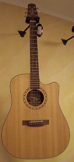 Takamine EF-340 SC NS Westerngitarre