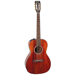 Takamine EF-407 Westerngitarre